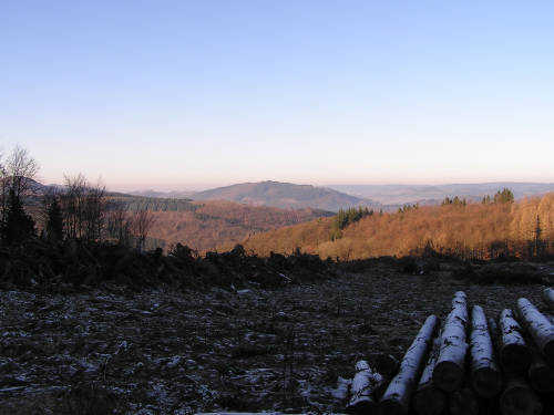 Zwischen Scheltenberg und Ohlenberg der Blick in Richtung Nordwesten.